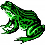 Frog FROG